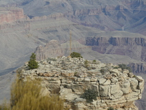 Jan 3, 2025: Hiking, Plant