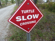Oct 10, 2020: Hiking, Sign, Turtle