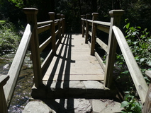 Jul 31, 2021: Hiking, Bridge