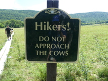 Jul 31, 2022: Hiking, Sign