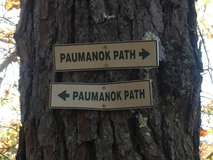Oct 29, 2022: Hiking, Sign