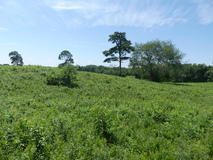 Jun 29, 2025: Hiking