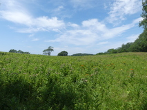 Jun 29, 2025: Hiking