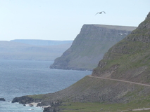 Jul 27, 2026: Iceland, Hiking, Bird